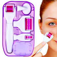 Мезороллер для лица и тела Derma Roller System 5 в 1 с титановыми иглами и насадками