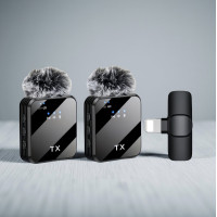 F12 портативный двойной мини-микрофон 3 в 1, Lavalier микрофон с шумоподавлением, Lightning