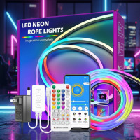 Умная гибкая LED RGB, неоновая лента-шланг 10 м, с питанием от USB