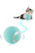 М'яч для кішок PetGravity інтерактивний автоматичний 360° з датчиком руху USB Type C
