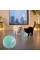 М'яч для кішок PetGravity інтерактивний автоматичний 360° з датчиком руху USB Type C